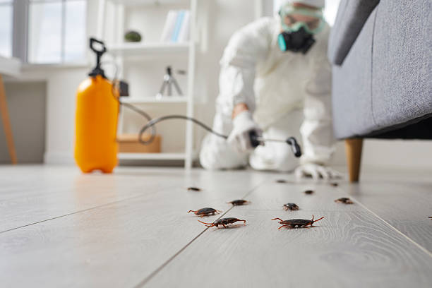 Post-Treatment Bed Bug Interceptor Monitoring in Anamosa
