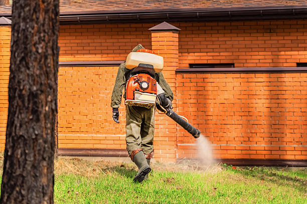 Bed Bug Clearance Verification and Documentation in Anamosa